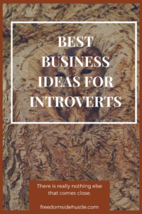 Best Business Ideas For Introverts